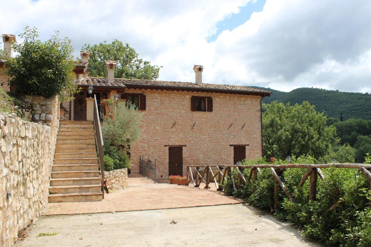 Farm stay Palazzo Del Papa Agriturismo *